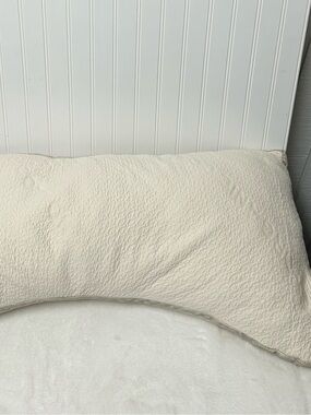 Pottery Barn Avocado side sleeper pillow king